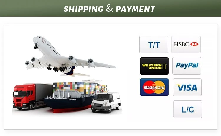 8-shipping&payment